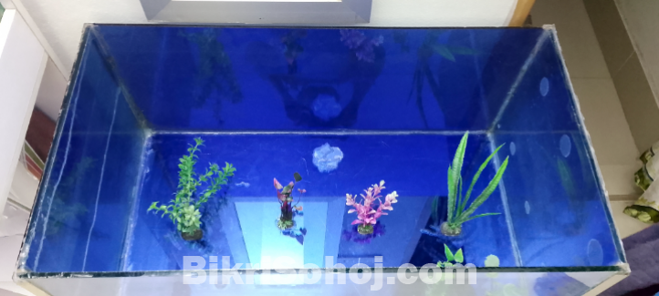 মাছের একুরিয়াম